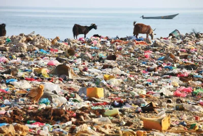 Da li je mikroplastika zaista u ljudskom mozgu - naučna revizija osporava nedavne tvrdnje